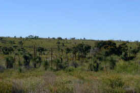 wanagarrannaturereserve.jpg (44000 bytes)