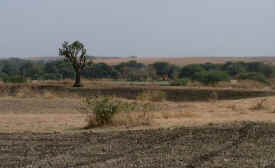 rajasthancountryside.jpg (34443 bytes)