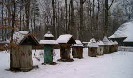 beehives.jpg (56802 bytes)